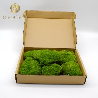 China Best Natural Touch High Quality Porcelain Roll Pole Leucobryum glaucum Preserved Moss for sale