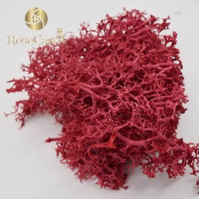 China 2019 Touch Factory Price Natural High Quality Touch New Real 200g Preserved Moss for sale