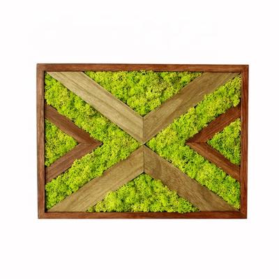 China Latest Handmade Reindeer Customized Design DIY Preserved Moss Board for sale