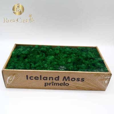 China 2019 Best Selling High Quality 500g Natural Touch Preserved Real Lichen Moss for sale