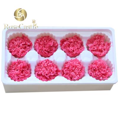 China Wholesale Natural Preserved High Quality Natural Touch A Grade 4cm 5cm Carnation for sale