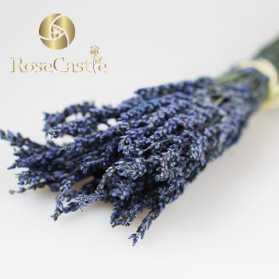 China The new natural touch tide wedding decoration flowers preserved flower lavender for sale