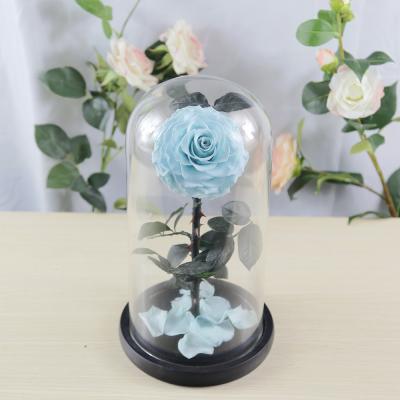 China 2019 Environmental Protection Green Wholesale Preserved Flower Rose Glass Gift for sale