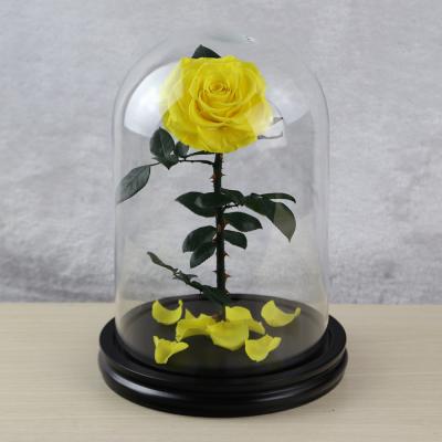 China New environmental protection green design plant preserved flowers in the glass dome for sale