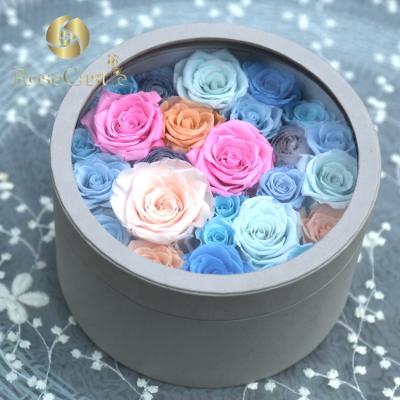 China 2019 Fashional multicolor luxurr preserved rose gift in velvet box for sale