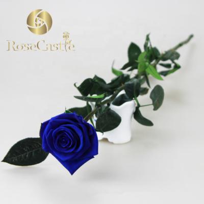 China Fashional New Trend Wedding Flower Decoration Forever Preserved Roses Long To Stem for sale