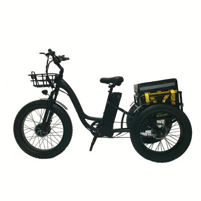 China Aluminum Alloy 24 Inch Fat Tire 800w High Speed ​​Motor MTB Snow Electric Tricycles for sale