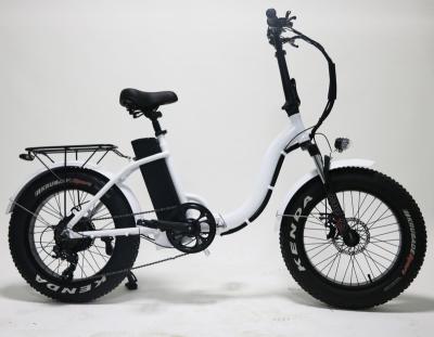 China New 4.0 Aluminum Alloy 20*4.0 7speed Dual Tire Electric Fat Bike 800w Disc Brake Beach Bike Snow Bike Mountain Bike for sale