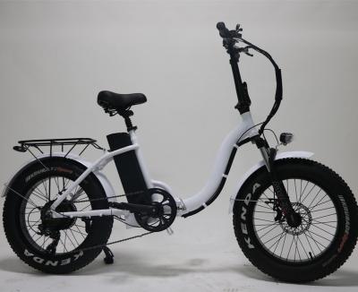 China New 4.0 Fat Tire Electric Electric Bicycle 21speed Double Disc Brake Aluminum Alloy Bike Snow Bike for sale