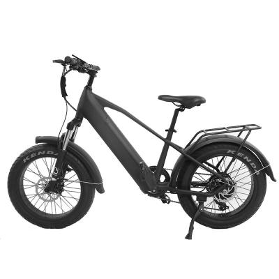 China 2021 New Men's 48V 20*4.0 Fat Tire Electric Fat Tire MTB Full Suspension City Tire Ebike China Max Charger OEM Motor Hub for sale