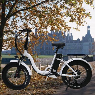 China New 4.0 Aluminum Alloy 20*4.0 7speed Dual Tire Electric Fat Bike 800w Disc Brake Beach Bike Snow Bike Mountain Bike for sale