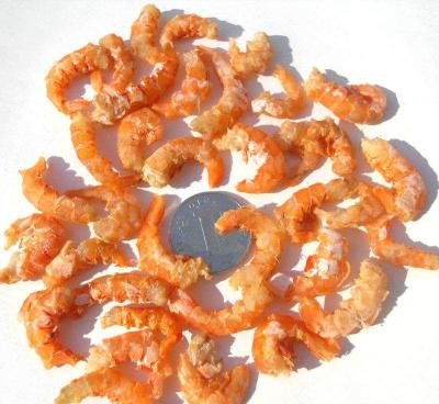 China Small fresh baby cooked red shrimp 1-1.5 cm for sale