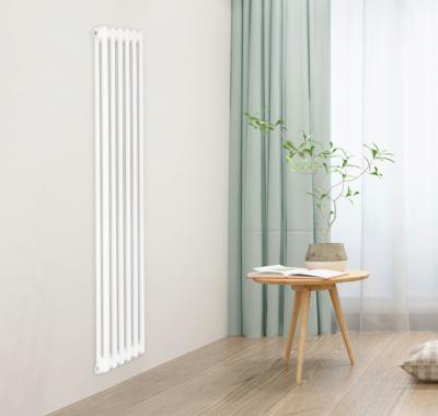 China 2021 Modern High Quality Oval Wing Radiator Charcoal Steel Compound Column for sale