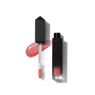 China Wholesale 2020 Hot Sale Lady Makeup Waterproof Lip Gloss Waterproof Lip Gloss for sale