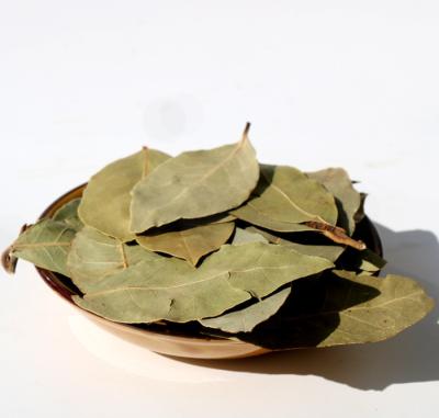 China Popular Dried Cinnamon Leaves Herbs And Spices Chinese Bay Leaf Seasoning Wholesale for sale