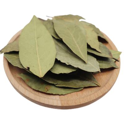 China Cinnamon Leaf Spice Laurel Leaf Pot Dry Hot-Wholesale Hot Bottom for sale