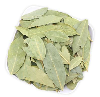 China Cinnamon Leaf Spice Laurel Leaf Pot Dry Hot-Wholesale Hot Bottom for sale