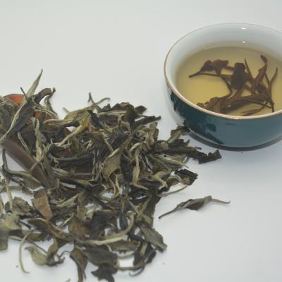 China Fatbud Wholesale OEM Fatbud Guixiang 18 Bubble Light Green Tea Heavy Ripe White Tea for sale