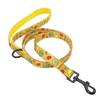 China High Quality Warm Padded Sublimation Dog Leash Custom Design Polyester Dog Lead for sale