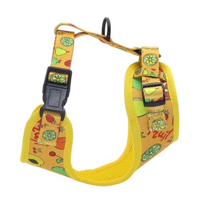 China Amazon Hot Sale High End Choke Free Padded Dog Harness Fashion Free Custom Dog Harness for sale