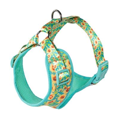 China Best Comfortable Padded Mesh Dog Vest Dog Harness Ventilation Dog Harness With Custom Pattern for sale