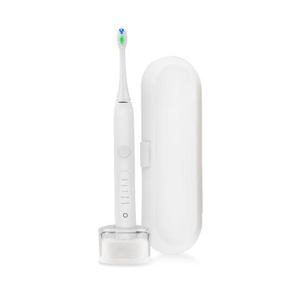 China Rechargeable SG986 BSCI Approved IPX7 Waterproof Electric Sonic Toothbrush with Replacement Toothbrush Heads for sale