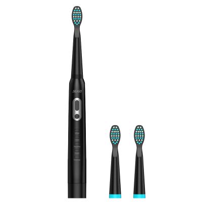 China SEAGO SG2011 40,000 stroke manufacturer price battery operated cheap electric toothbrush for adult for sale