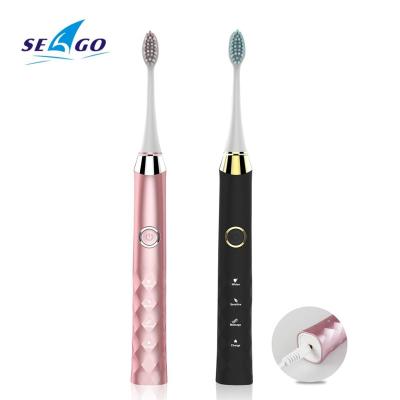 China Seago Rechargeable SG987DC China Factory Made Professional USB Charged Adult Rechargeable Sonic Electric Toothbrush for sale