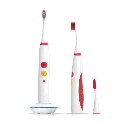 China Seago rechargeable SG539 40000 IPX7 vibrating Sonic Toothbrush Smart Electronic Brush electric oral adult rechargeable automatic handheld for sale