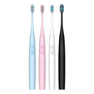 China New Arrival 2020 Battery Operated SG582 IPX7 Cheap 24,000 Strokes Sonic Electric Toothbrush Battery Operated Adult for sale