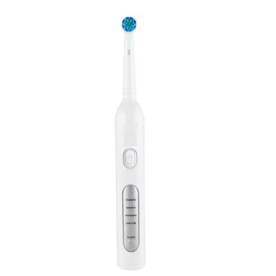 China SG-913 DC USB Rechargeable 360 ​​Degree Refilling Rotating Adult Electric Sonic Toothbrush for sale