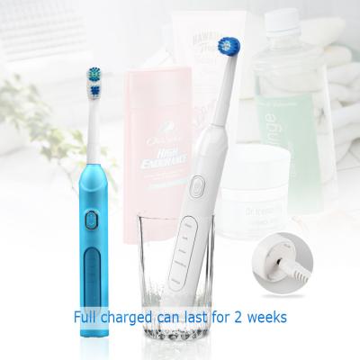 China New Arrival SG-913 Adult Rechargeable Rotary Electric Toothbrush Rechargeable for sale