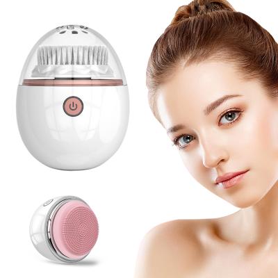 China 2020 New Face Exfoliators Beauty Instrument Electronic Rechargeable Rotating Facial Cleansing Brush for sale