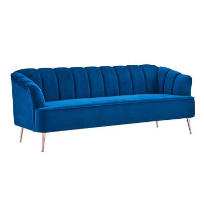 China Other Exquisite Furniture Living Room Sofa And Metal Legs Household Modern Casual Sofa for sale