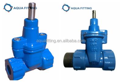 China General Chamber Connection Valve, Female Male Type for sale