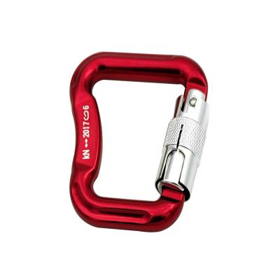 China Heavy Industry CE Certificate High Strength Safety Mounting Hang Gliding Paragliding Clip Carabiner Hook for sale