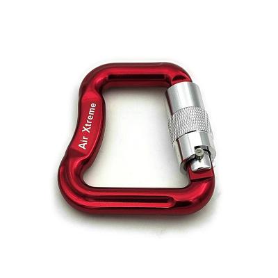 China Heavy Industry Factory Supply Powerful 25kn D Shape Aluminum Alloy Screw Door Riser Carabiner for sale