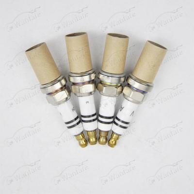 China FOR VOLKSWAGEN AUDI PORSCHE SKODA CAR ENGINE PARTS SPARK PLUG PFR7S8EG FOR VOLKSWAGEN AUDI PORSCHE SKODA OEM 101905631H 06H905611 95817022190 for sale