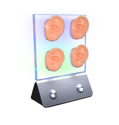 China Earbuds LED four ears shinning filling display for hearing clinic use ears demenstration support and artificial ears for sale