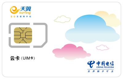 China PostPaid Telecom SIM Card with Personalization without Card envelope for sale