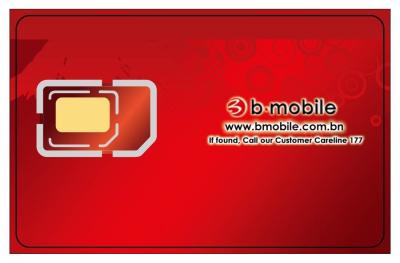 China PostPaid Telecom SIM Card with Personalization without Card envelope for sale