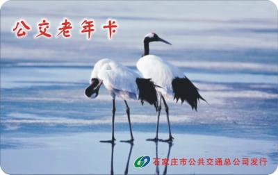 Chine Affiche cartonnée publicitaire dans les moyens de transport en commun de voyage de grand coup de transport d'IC de sécurité pour l'aîné à vendre