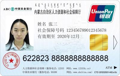 China De Douaneidentiteitskaart Sociale identiteitskaart van China UnionPay met Geavanceerde IC-Spaander Te koop