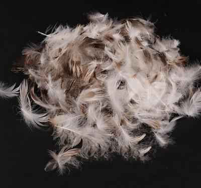 China 2-4cm Washed Soft Gray Duck Feather For Duvet Filling Light Weight Filling Material for sale