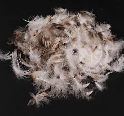 China Wholesale Soft Washed 100% Gray Goose Feather And Down For Duvet Filling Material for sale