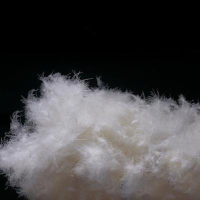 China Soft Washed Bulk Washed 90% Duck Down Feather For Down Comforter Filling for sale