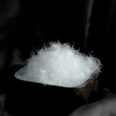 China Good quality soft bulk 2-4cm 90% white goose down feather filling for hotel pillow for sale