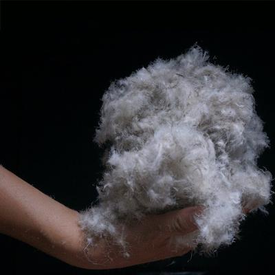 China Factory Price Soft Comfortable Hotel Interior Fluffy Thick Gray 75% Gray Duck Down Feather for sale