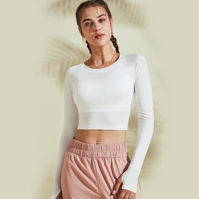 China Antibacterial Women's Yoga Gym Crop Compression Top Workout Shirt Fitness Sporty Tops Antibacterial Long Sleeve for sale