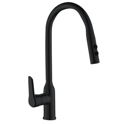 China Pull Out Spray Hot Selling Good Quality Flexible Luxury Kitchen Faucet Pull Out For Home for sale